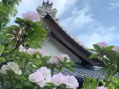 牟禮山観音禅寺の建物その他