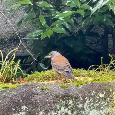 伊勢の国 四天王寺(三重県)