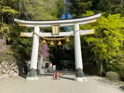 宝登山神社の鳥居