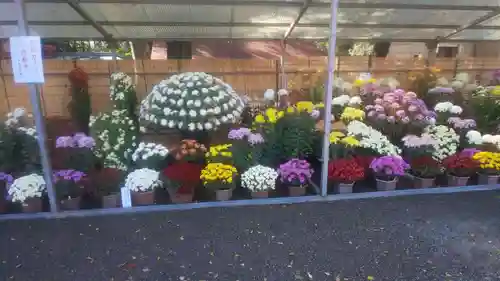 津島神社の自然