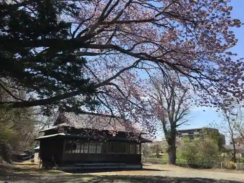 千歳神社の自然