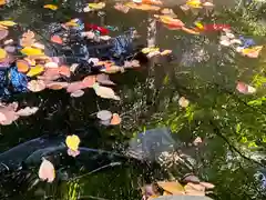 白石神社(北海道)