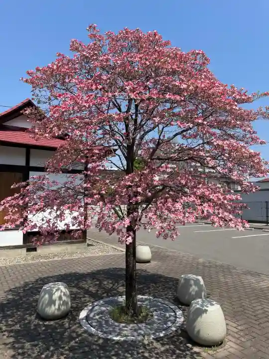 高巌寺(福島県)