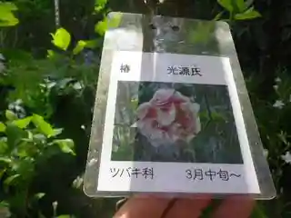 光則寺のその他建物