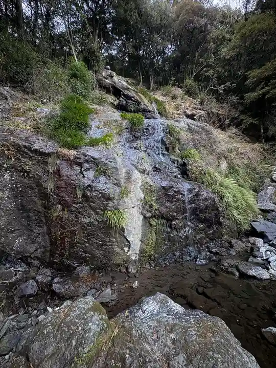 國分寺奥の院(毘沙門堂)の自然