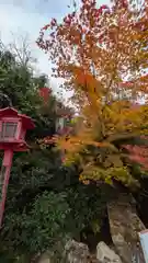 鍬山神社(京都府)