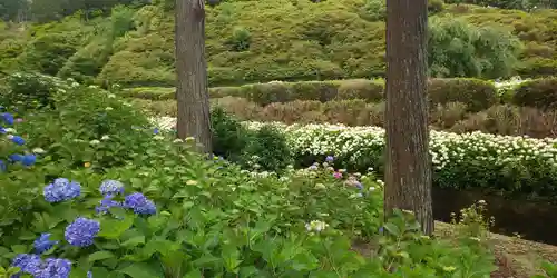 三室戸寺の庭園