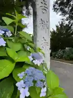 吉祥寺(埼玉県)