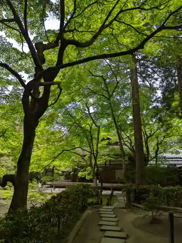 南禅院(京都府)