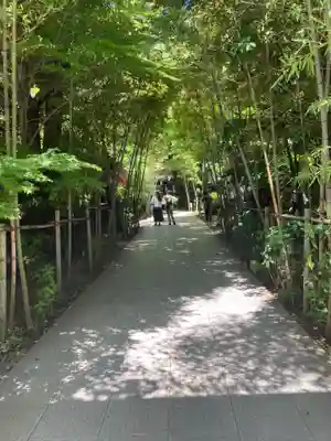 來宮神社(静岡県)