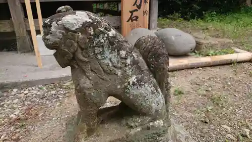 網戸神社の狛犬