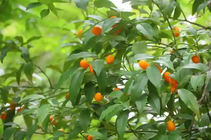 開成山大神宮の庭園