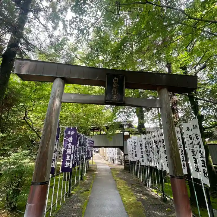 白金龍王社(愛知県)