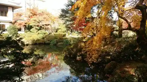 輪王寺の庭園