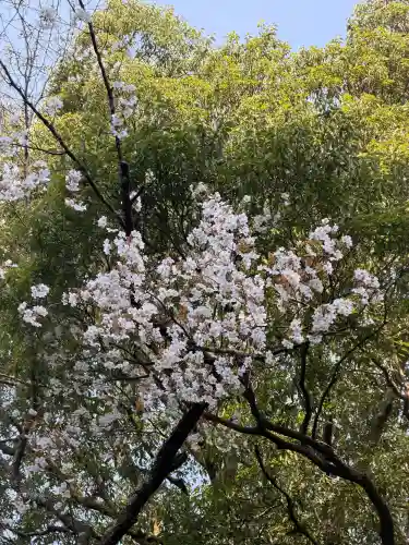 月夜見宮（豊受大神宮別宮）の{uncategorized: "未分類", other: "その他", undefined: "問題あり", building: "その他建物", grave: "お墓", sacred_gate: "鳥居", guardian: "狛犬", statue: "像", buddha: "仏像", history: "歴史", nature: "自然", garden: "庭園", animal: "動物", pagoda: "塔", temizu: "手水舎", mountain_gate: "山門・神門", sanctuary: "本殿・本堂", subordinate: "末社・摂社", art: "芸術", scenery: "景色", jizo: "地蔵", ema: "絵馬", goshuin: "御朱印", omikuji: "おみくじ", items: "授与品その他", amulet: "お守り", goshuincho: "御朱印帳", eats: "食事", festival: "お祭り", votive_dance: "神楽", shichigosan: "七五三参", wedding: "結婚式", experience: "体験その他", initially: "初詣", around: "周辺", anti_infection: "感染症対策"}