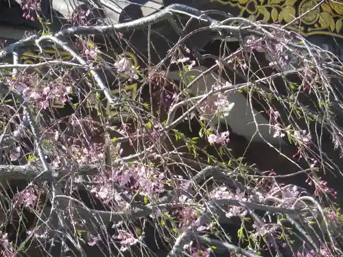 妙隆寺のその他建物