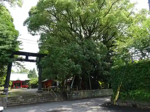 飯倉神社の鳥居