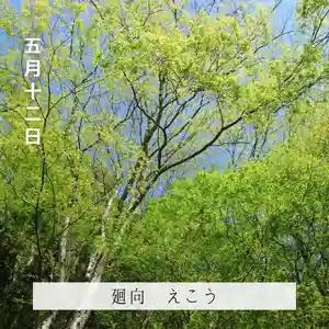 壽徳寺 じゅとくじの自然(2022年05月12日(木) 16時08分48秒投稿)