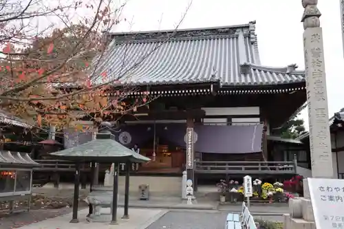 曼荼羅寺の本殿・本堂