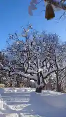 相馬神社(北海道)