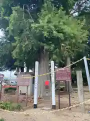 西郷神社(栃木県)