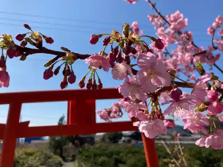 稲荷神社の自然