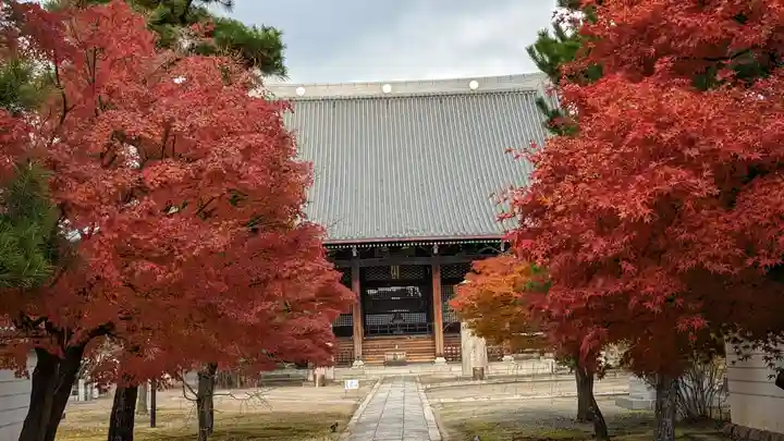妙顯寺(妙顕寺)(京都府)