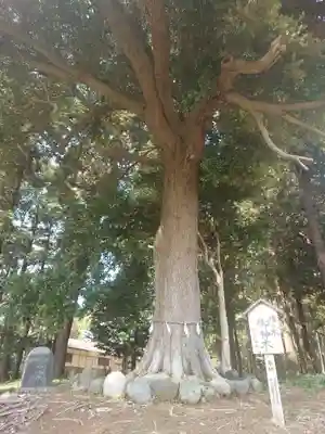 宇都母知神社(神奈川県)