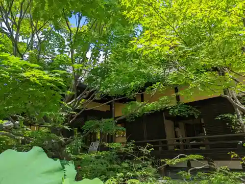 勝林寺(京都府)