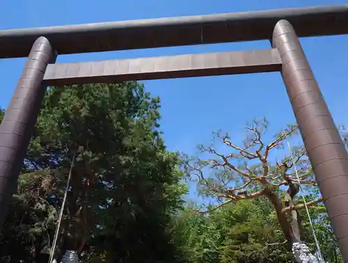 北見神社の鳥居