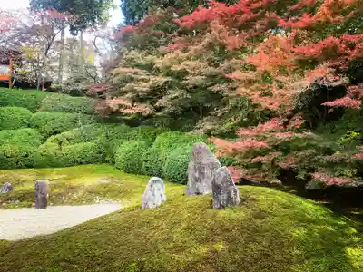 光明院（光明禅院）(京都府)