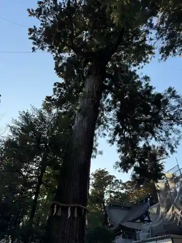 香取神宮(千葉県)