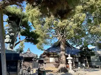 西福寺(千葉県)