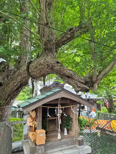 海南神社(神奈川県)