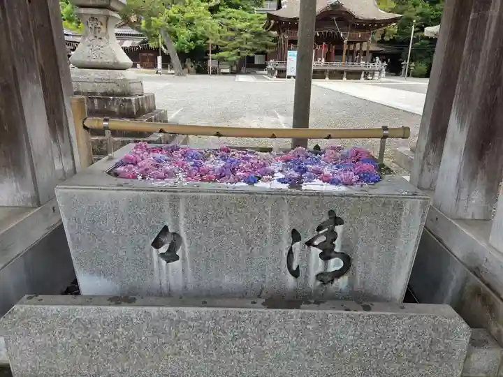 長浜八幡宮(滋賀県)