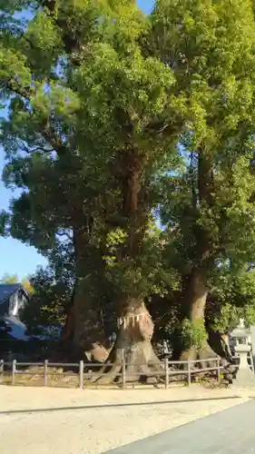 春日神社(福岡県)