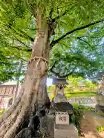 山神宮の{uncategorized: "未分類", other: "その他", undefined: "問題あり", building: "その他建物", grave: "お墓", sacred_gate: "鳥居", guardian: "狛犬", statue: "像", buddha: "仏像", history: "歴史", nature: "自然", garden: "庭園", animal: "動物", pagoda: "塔", temizu: "手水舎", mountain_gate: "山門・神門", sanctuary: "本殿・本堂", subordinate: "末社・摂社", art: "芸術", scenery: "景色", jizo: "地蔵", ema: "絵馬", goshuin: "御朱印", omikuji: "おみくじ", items: "授与品その他", amulet: "お守り", goshuincho: "御朱印帳", eats: "食事", festival: "お祭り", votive_dance: "神楽", shichigosan: "七五三参", wedding: "結婚式", experience: "体験その他", initially: "初詣", around: "周辺", anti_infection: "感染症対策"}