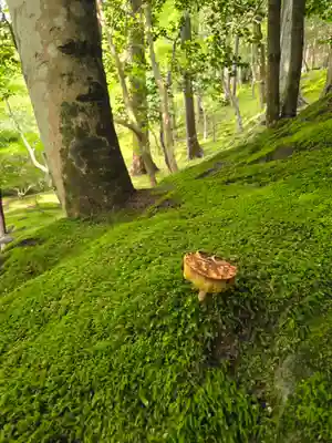 慈照寺（慈照禅寺・銀閣寺）(京都府)
