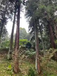 大宮温泉神社(栃木県)(2023年09月20日(水) 07時42分45秒投稿)