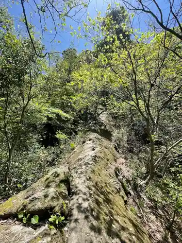 三佛寺(鳥取県)