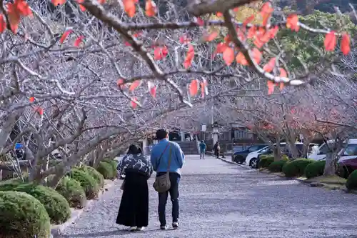 安房神社(千葉県)