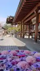 行田八幡神社の手水