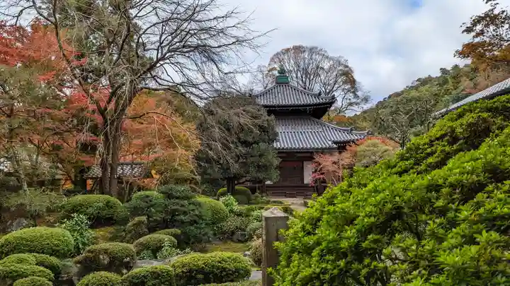 安楽寺(京都府)