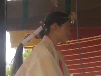 鶴岡八幡宮の体験その他