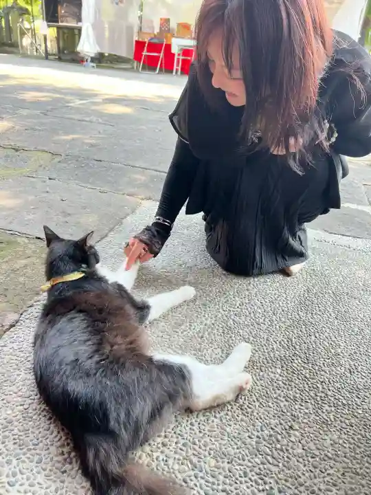 別所琴平神社(熊本県)