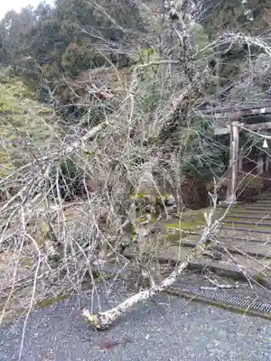 五皇神社(福井県)