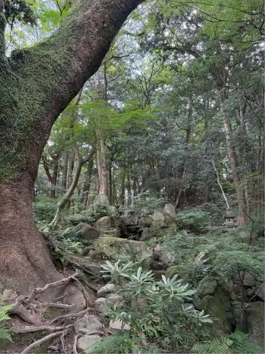 太宰府天満宮の自然