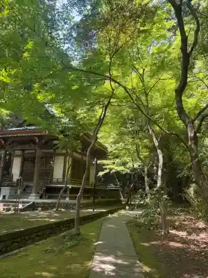 深大寺の{uncategorized: "未分類", other: "その他", undefined: "問題あり", building: "その他建物", grave: "お墓", sacred_gate: "鳥居", guardian: "狛犬", statue: "像", buddha: "仏像", history: "歴史", nature: "自然", garden: "庭園", animal: "動物", pagoda: "塔", temizu: "手水舎", mountain_gate: "山門・神門", sanctuary: "本殿・本堂", subordinate: "末社・摂社", art: "芸術", scenery: "景色", jizo: "地蔵", ema: "絵馬", goshuin: "御朱印", omikuji: "おみくじ", items: "授与品その他", amulet: "お守り", goshuincho: "御朱印帳", eats: "食事", festival: "お祭り", votive_dance: "神楽", shichigosan: "七五三参", wedding: "結婚式", experience: "体験その他", initially: "初詣", around: "周辺", anti_infection: "感染症対策"}