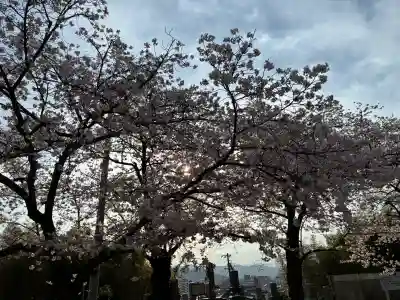 成願寺の{uncategorized: "未分類", other: "その他", undefined: "問題あり", building: "その他建物", grave: "お墓", sacred_gate: "鳥居", guardian: "狛犬", statue: "像", buddha: "仏像", history: "歴史", nature: "自然", garden: "庭園", animal: "動物", pagoda: "塔", temizu: "手水舎", mountain_gate: "山門・神門", sanctuary: "本殿・本堂", subordinate: "末社・摂社", art: "芸術", scenery: "景色", jizo: "地蔵", ema: "絵馬", goshuin: "御朱印", omikuji: "おみくじ", items: "授与品その他", amulet: "お守り", goshuincho: "御朱印帳", eats: "食事", festival: "お祭り", votive_dance: "神楽", shichigosan: "七五三参", wedding: "結婚式", experience: "体験その他", initially: "初詣", around: "周辺", anti_infection: "感染症対策"}