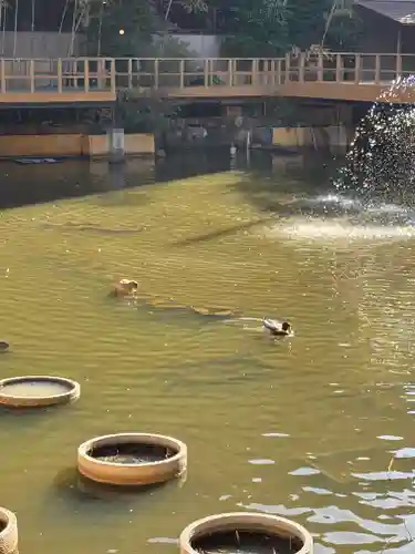生田神社の庭園